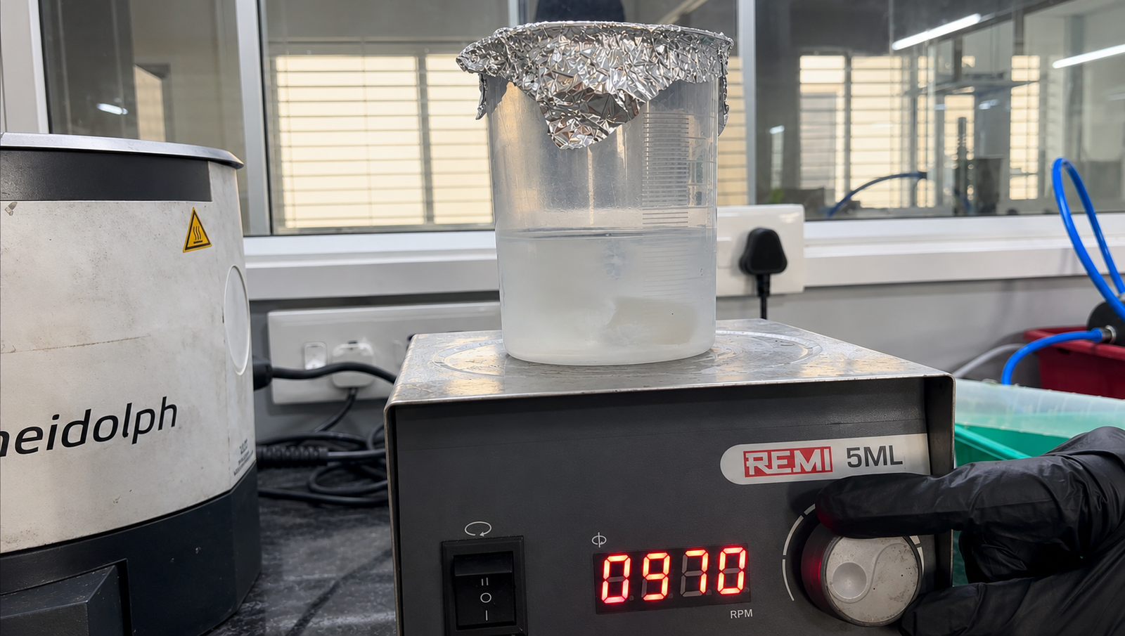 Protein Extraction & Purification